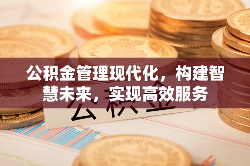 建昌公积金管理现代化，构建智慧未来，实现高效服务