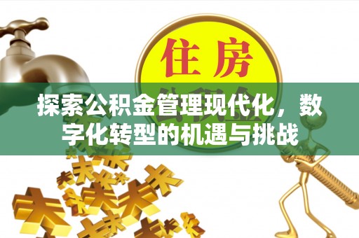 建昌探索公积金管理现代化，数字化转型的机遇与挑战