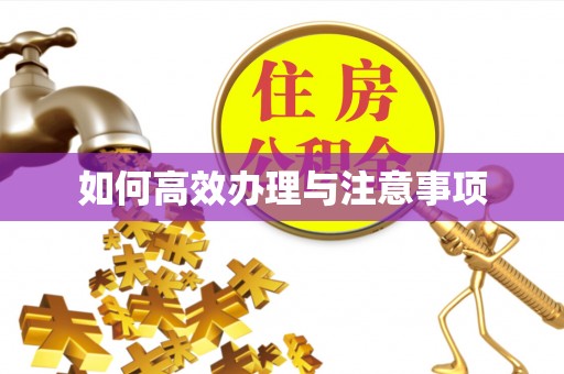 建昌如何高效办理与注意事项