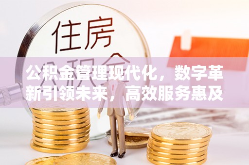 建昌公积金管理现代化，数字革新引领未来，高效服务惠及民生