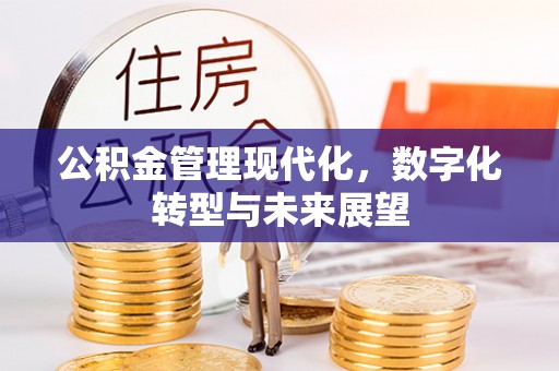 建昌公积金管理现代化，数字化转型与未来展望