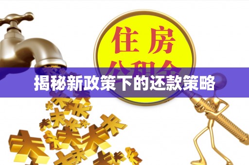 建昌揭秘新政策下的还款策略