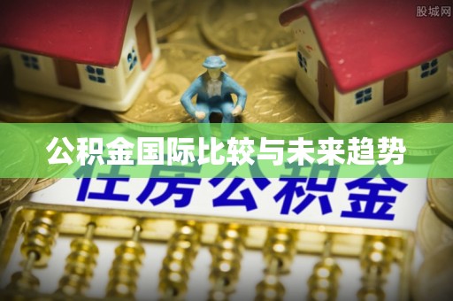 建昌公积金国际比较与未来趋势
