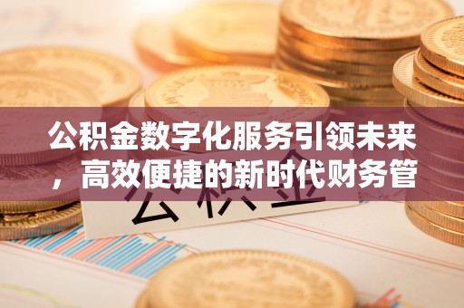 建昌公积金数字化服务引领未来，高效便捷的新时代财务管理