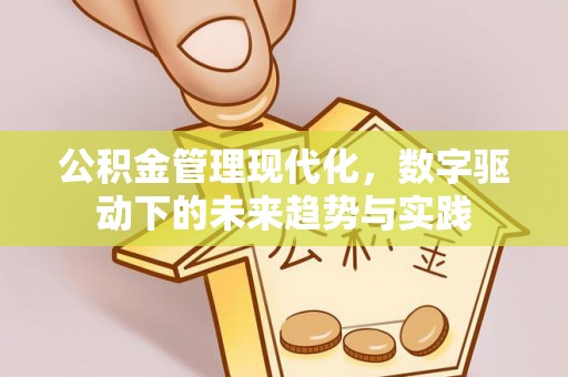 建昌公积金管理现代化，数字驱动下的未来趋势与实践