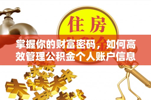 建昌掌握你的财富密码，如何高效管理公积金个人账户信息