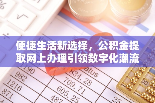 建昌便捷生活新选择，公积金提取网上办理引领数字化潮流