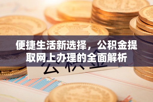 建昌便捷生活新选择，公积金提取网上办理的全面解析