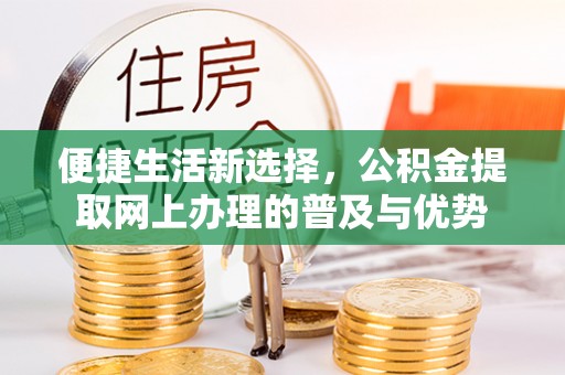 建昌便捷生活新选择，公积金提取网上办理的普及与优势