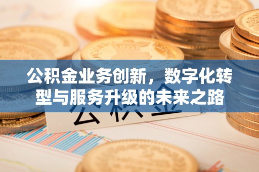 建昌公积金业务创新，数字化转型与服务升级的未来之路