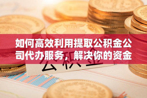 建昌如何高效利用提取公积金公司代办服务，解决你的资金难题