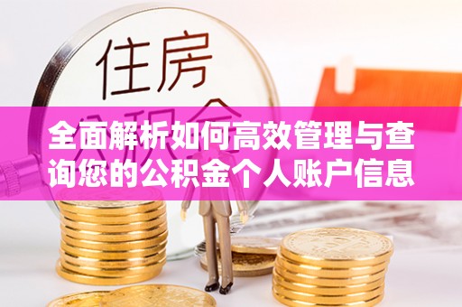 建昌全面解析如何高效管理与查询您的公积金个人账户信息