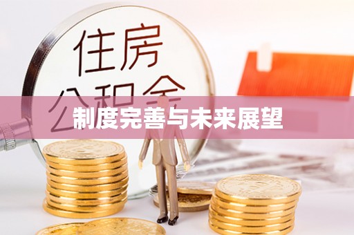 建昌制度完善与未来展望