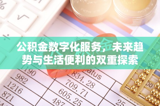 建昌公积金数字化服务，未来趋势与生活便利的双重探索