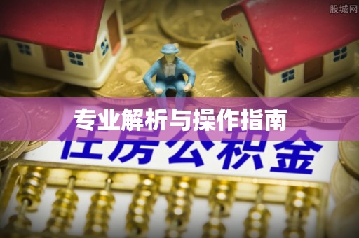 建昌专业解析与操作指南