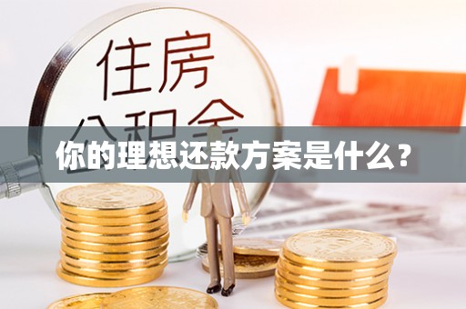 建昌你的理想还款方案是什么？