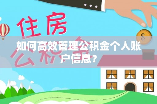 建昌如何高效管理公积金个人账户信息？