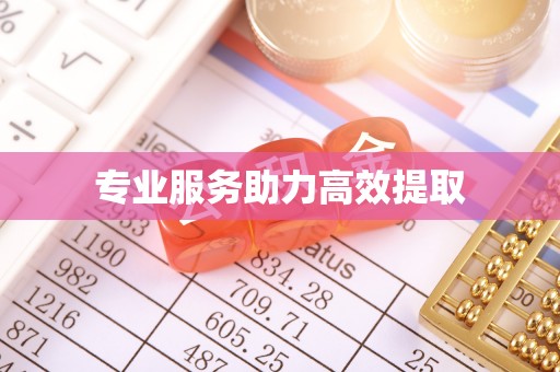 建昌专业服务助力高效提取