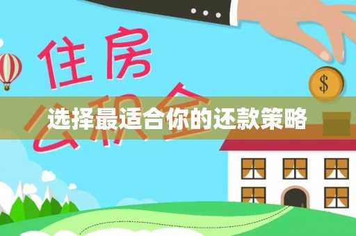 建昌选择最适合你的还款策略