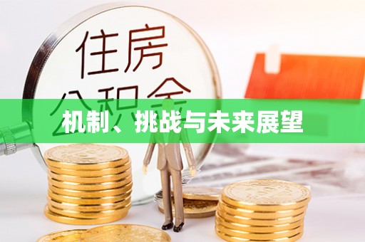 建昌机制、挑战与未来展望