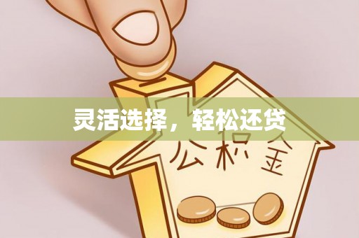 建昌灵活选择，轻松还贷